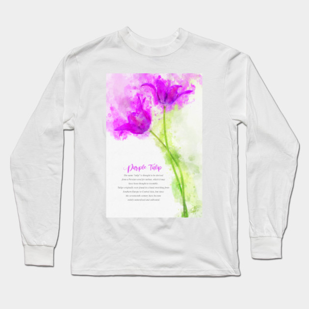 Purple Tulip
